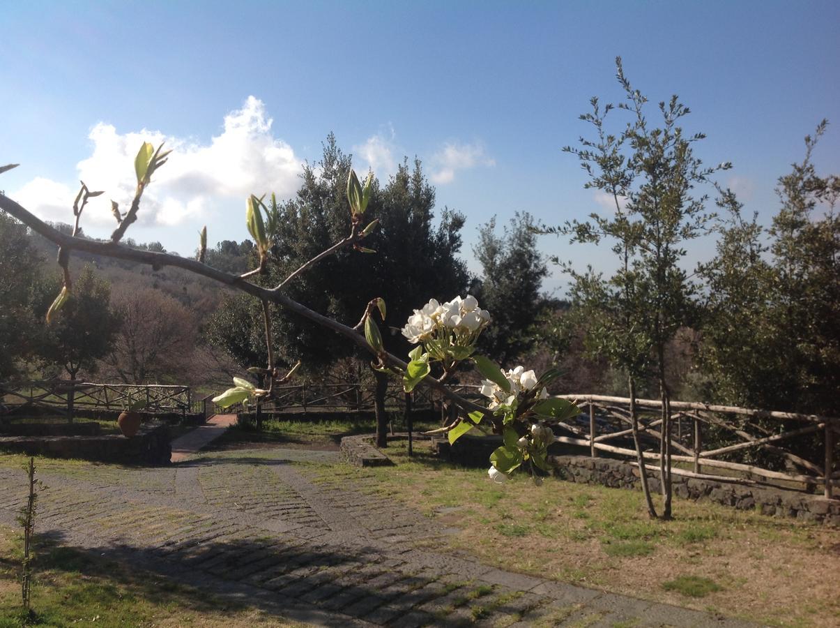Le Cisterne Dell'Etna Hotel Calcerana-Marina Exterior foto